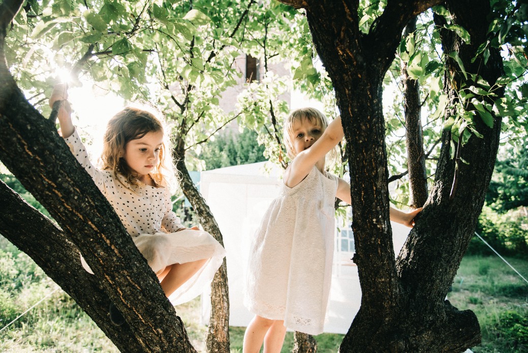 two little girls climbing a tree